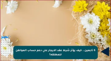 6 تابعين.. كيف يؤثر شرط عقد الإيجار على دعم حساب المواطن للمطلقة؟